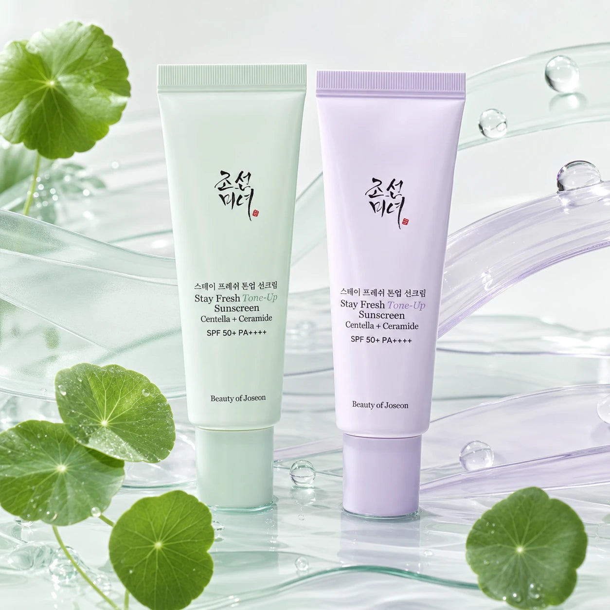 Beauty of Joseon Stay Fresh Tone-Up Sunscreen with Centella and ceramide formula cues