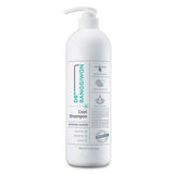 ProtoClinical k-beauty Dr.BANGGIWON COOL SHAMPOO 1000ml ANTI HAIR LOSS large upright shampoo bottle centered on a light background.