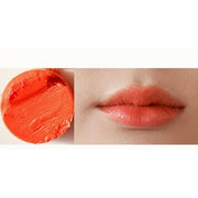 ProtoClinical k-beauty melixir Vegan Lip Butter 3.9g #08 Havana (Tinted) horizontal brick red lip color swatch centered on a pale blue and white background