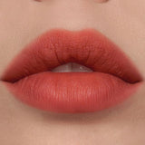 ProtoClinical k-beauty [DEAR DAHLIA] Paradise Dream Velvet Lip Mousse 6.5ml #04 Teddy muted red product close-up with soft blue and green accents on a light background