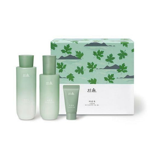 ProtoClinical k-beauty HANYUL Pure Artemisia Calming Balancing Set green product packaging with soft pink botanical accents on a light background