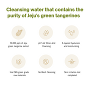 ProtoClinical k-beauty BeaumAnt Jeju Green Tangerine Cleansing Water 500ml multiple pale green cleansing water bottles arranged in a grid on a white background with soft lavender accents.