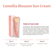 ProtoClinical k-beauty [JEJU INDI] Blossom Sun Cream 50ml soft lavender and beige packaging graphic on a clean white background.