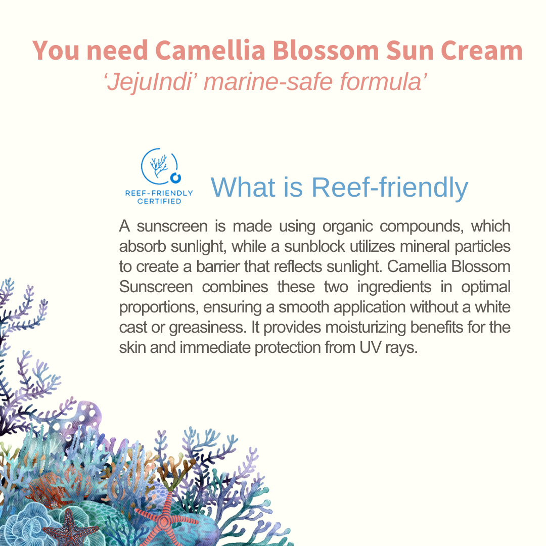 ProtoClinical k-beauty [JEJU INDI] Blossom Sun Cream 50ml soft blue and cream packaging graphic with a darker lower-left band.