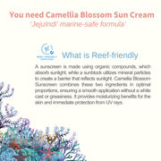ProtoClinical k-beauty [JEJU INDI] Blossom Sun Cream 50ml soft blue and cream packaging graphic with a darker lower-left band.