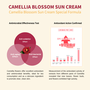 ProtoClinical k-beauty [JEJU INDI] Blossom Sun Cream 50ml soft rose package silhouette with muted pastel accents on a light background.