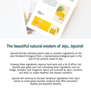 ProtoClinical k-beauty [JEJU INDI] Vitamin C Bubble Powder Cleanser 30ea shown as a soft blue graphic panel with muted vertical forms on a light background