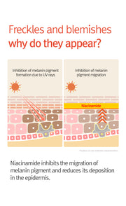 ProtoClinical k-beauty 12GRABS: 10 Elements Vita Serum (50ml) skin diagram graphic with two side-by-side panels, orange sun icons, and niacinamide label on a white background