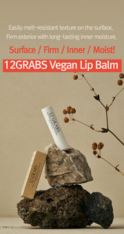 ProtoClinical k-beauty 12GRABS Vegan Lip Balm 4g shown with a white balm tube and matching carton balanced on stacked rocks beside dried stems against a beige background