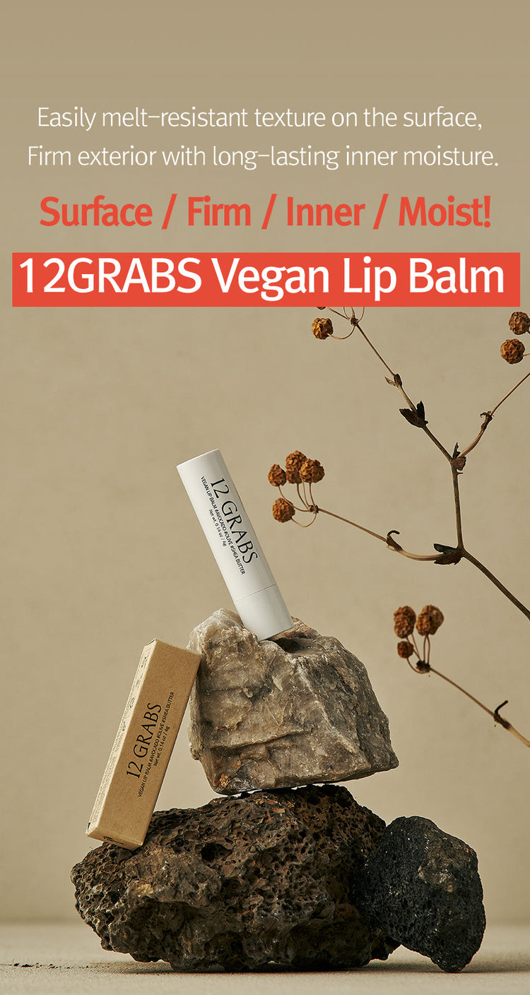 ProtoClinical k-beauty 12GRABS Vegan Lip Balm 4g shown with a white balm tube and matching carton balanced on stacked rocks beside dried stems against a beige background