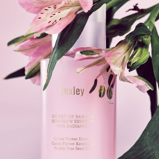 ProtoClinical k-beauty Huxley Skin Glow Essence Vita Radiance 50ml with soft rose, charcoal, and cream packaging forms on a pale background