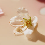 ProtoClinical k-beauty warm beige beauty detail with soft olive tones on a light background.