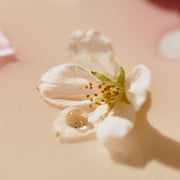 ProtoClinical k-beauty warm beige beauty detail with soft olive tones on a light background.