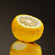 ProtoClinical k-beauty golden yellow beauty product silhouette with deep navy side panels on a dark background.