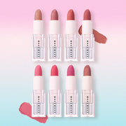 ProtoClinical k-beauty WAKEMAKE Velvet Blurring Matte Stick square matte stick product graphic with pink and neutral packaging tones