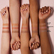 ProtoClinical k-beauty makeup swatch on an arm with soft beige and rose tones against a light background.