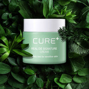 ProtoClinical k-beauty [KIM JEONG MOON Aloe] Cure Realoe Signature Cream 55g as a single pale mint cream package centered upright on a dark green background