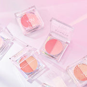 ProtoClinical k-beauty JUNGSAEMMOOL Colorpiece Cream Blush 2.6g product packaging on a clean background.