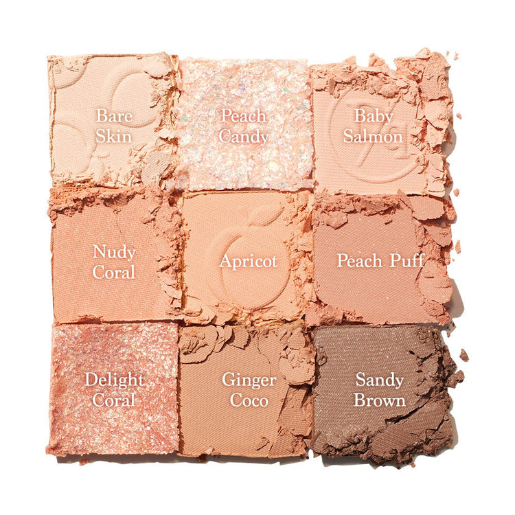 ProtoClinical k-beauty dasique Eyeshadow Palette - 14 Peach Squeeze shown in bright peach and coral tones on a white background.