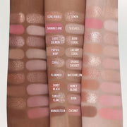 ProtoClinical k-beauty warm brown cosmetic palette silhouette on a light background.