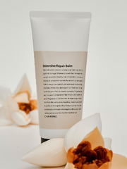 ProtoClinical k-beauty warm beige beauty graphic with a darker lower-right form on a light background.