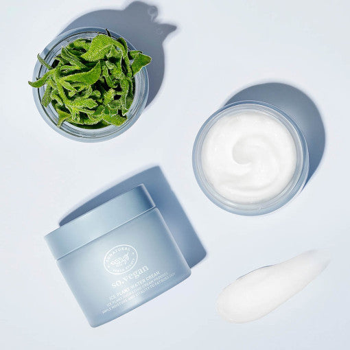 ProtoClinical k-beauty [so natural] So Vegan Ice Plant Water Cream 70ml single upright blue water cream package centered on a pale blue and white background
