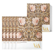 ProtoClinical k-beauty V&A BEAUTY Antioxidant Ampoule Mask Sheet 25ml x 5EA shown as a floral patterned box with five sheet mask packets fanned out on a white background