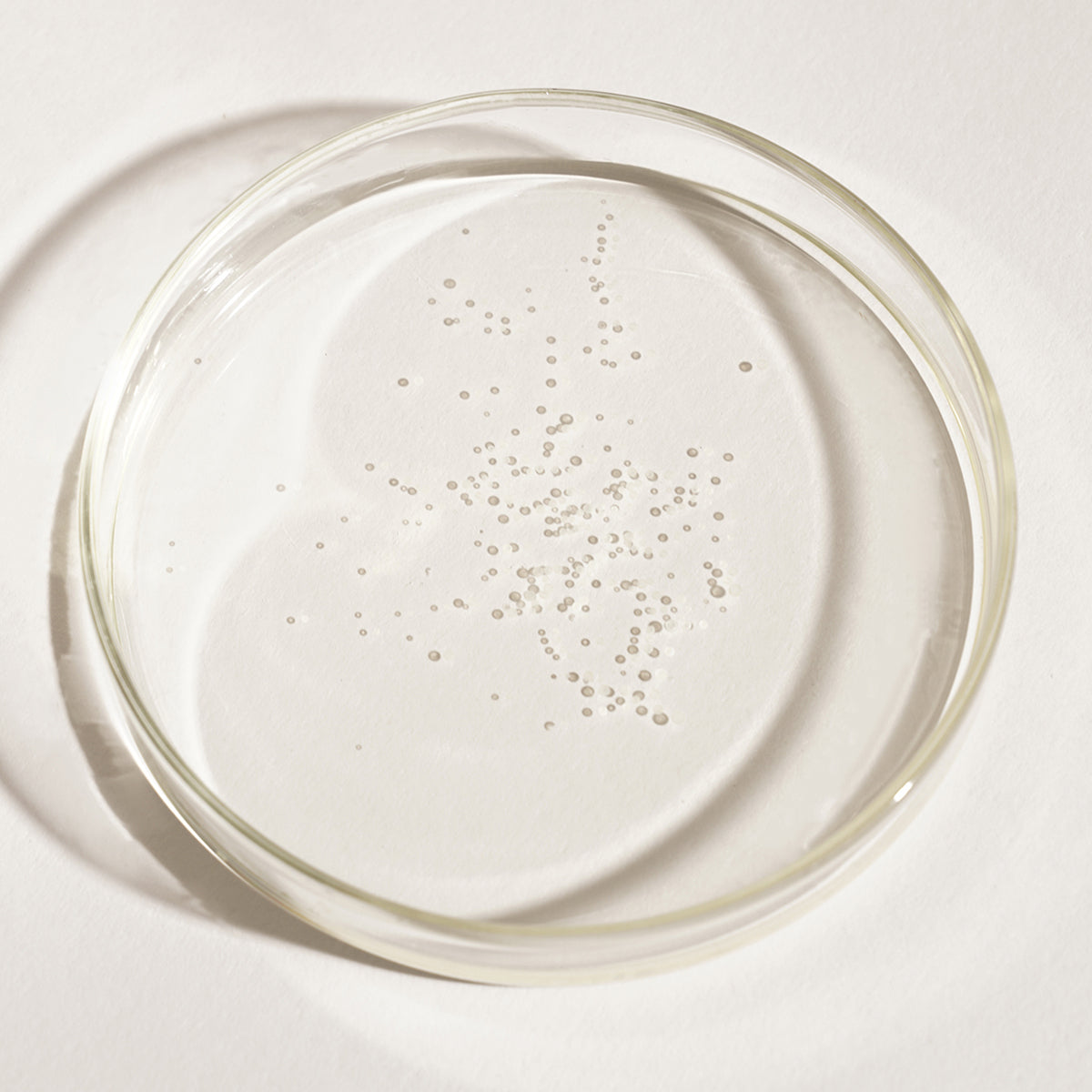 ProtoClinical k-beauty muted olive beauty product set with four pale vertical forms on a light background.