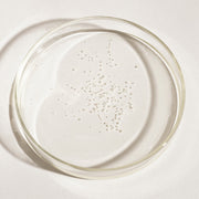ProtoClinical k-beauty muted olive beauty product set with four pale vertical forms on a light background.