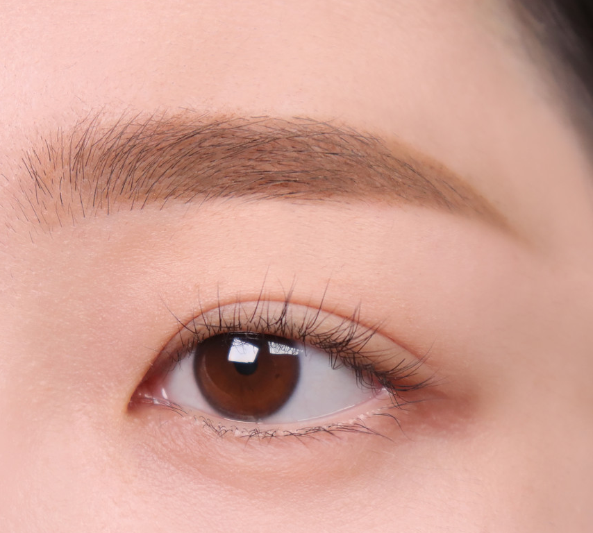 ProtoClinical k-beauty lilybyred Skinny Mes Brow Mascara 3.5g two horizontal brow swatches in warm beige-brown and medium brown on a pale pink background