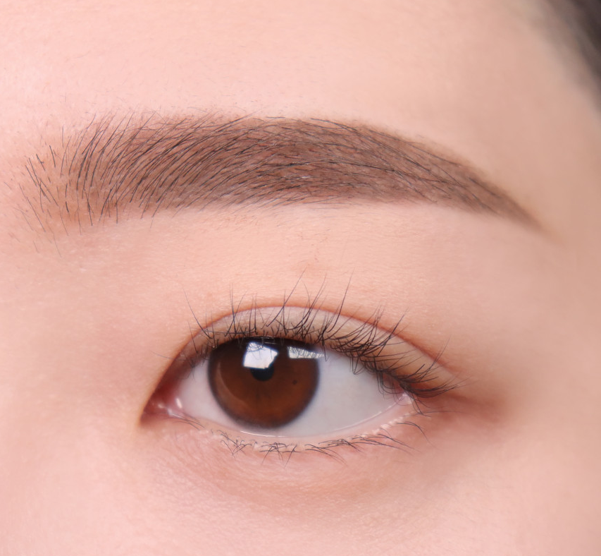ProtoClinical k-beauty lilybyred Skinny Mes Brow Mascara 3.5g two horizontal brow swatches in rose-brown and cocoa brown on a pale pink background