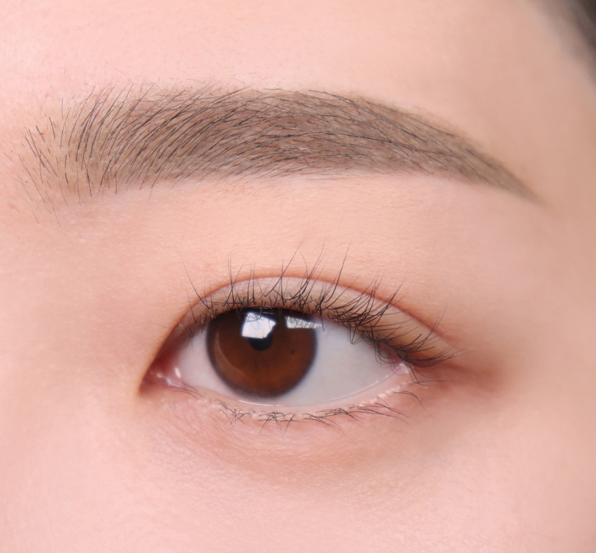 ProtoClinical k-beauty lilybyred Skinny Mes Brow Pencil two horizontal brown brow swatches stacked on a pale pink background