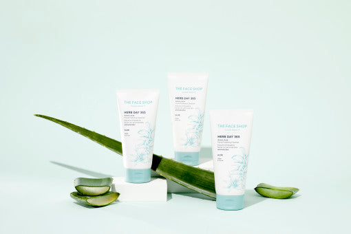 ProtoClinical k-beauty THE FACE SHOP Herb Day 365 Amino Acid Facial Foaming Cleanser 170ml #Aloe shown as three white squeeze tubes with mint caps on white blocks beside sliced aloe leaves