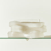ProtoClinical k-beauty beauty product detail with olive, mauve, and warm beige tones on a light background.