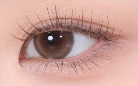 ProtoClinical k-beauty TONYMOLY Eye Tone Curl Correcting Mascara 7.5g two taupe-brown mascara swatches side by side on a pale peach background