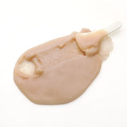 ProtoClinical k-beauty Elizavecca Green Piggy Collagen Jella Pack 100g single round peach-beige container with soft aqua side shading centered on a white background