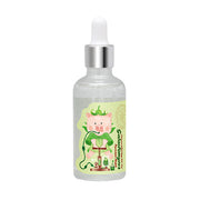 ProtoClinical k-beauty Elizavecca Witch Piggy Hell-Pore Galactomyces Premium Ampoule 50ml single upright ampoule bottle centered on a white background