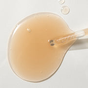 ProtoClinical k-beauty KAINE Kombu Barrier Ampoule 30ml soft beige horizontal beauty graphic with cream and taupe bands on a light background.