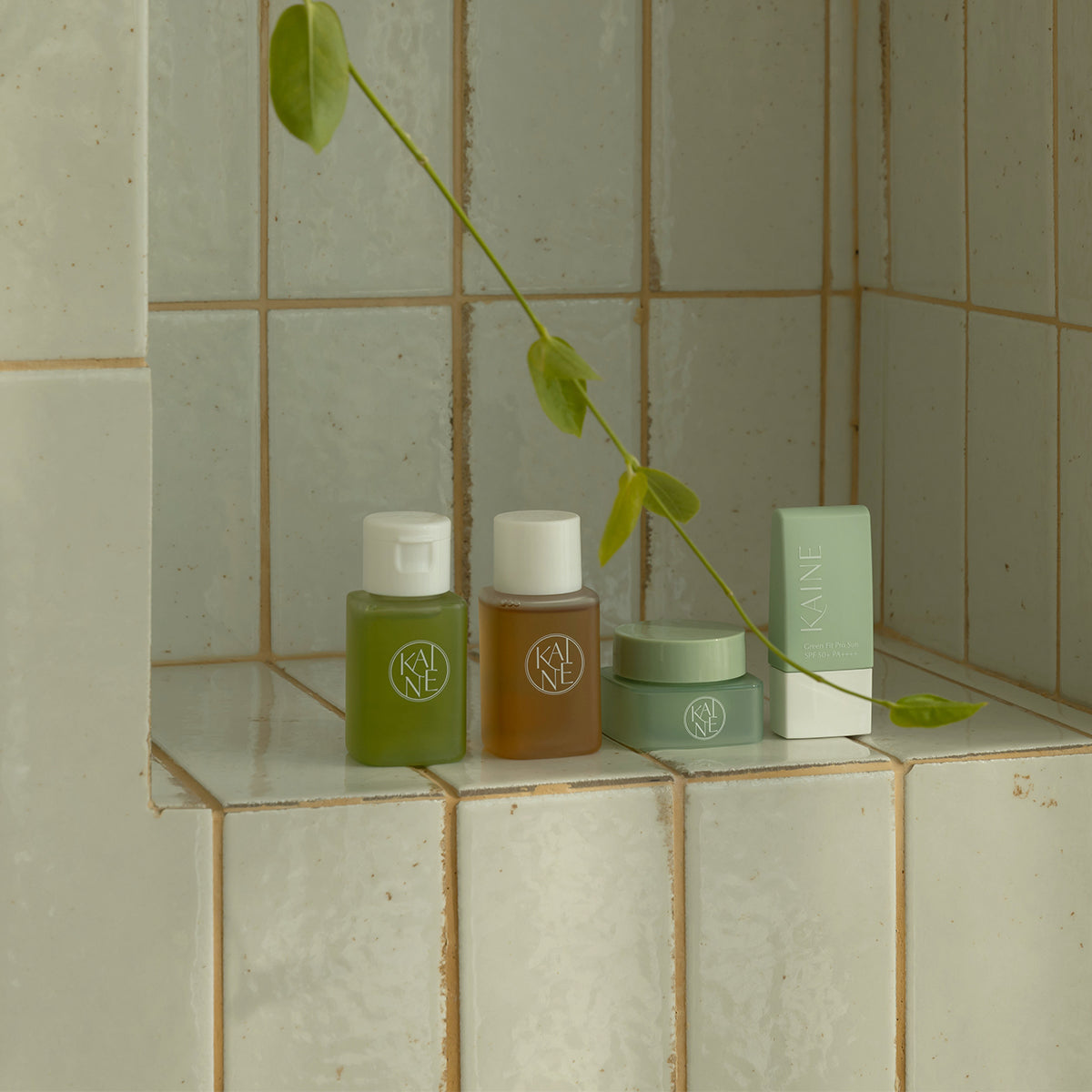 ProtoClinical k-beauty skincare product packaging on a light background.