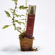 ProtoClinical k-beauty EUNYUL Carefull YACHO Herb Soothing Body Mist 150ml single product packaging in a square crop on a plain background