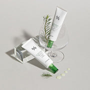 ProtoClinical k-beauty Dr.Ceuracle Tea Tree Purifine Green Up Sun SPF50 PA++++ 50ml single centered sunscreen package on a light background.