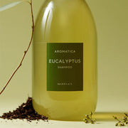 AROMATICA Eucalyptus Shampoo 15 Amino 1000ml by ProtoClinical shown in a polished product layout with the shampoo bottle and packaging details for a k-beauty hair care routine.