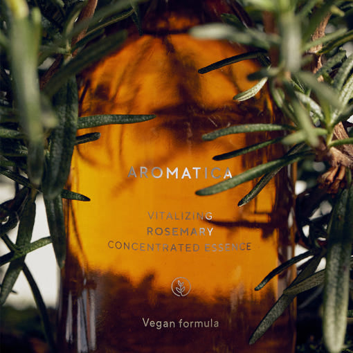 ProtoClinical k-beauty AROMATICA Vitalizing Rosemary Concentrated Essence 100ml single upright amber essence bottle centered on a teal and olive background