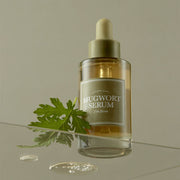 ProtoClinical k-beauty I'm from Mugwort Serum 30ml single upright olive serum bottle centered on a pale aqua background with soft mint side shading