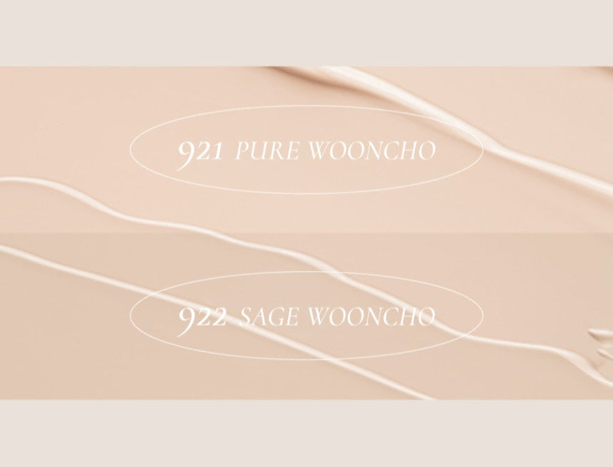 ProtoClinical k-beauty Dinto Wooncho Blur-Matte Foundation 25ml before-and-after skin comparison in four close-up nose and cheek panels showing smoother pore and redness coverage