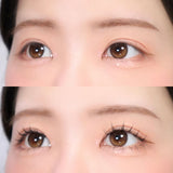 ProtoClinical k-beauty CORINGCO Toktok-Hara Wink Fake Eyelashes 292pcs (Mix Set) with mixed false eyelash trays on a light background