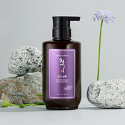 ProtoClinical k-beauty [Daeng Gi Meo Ri] Jin Gi Shampoo 500ml in a single upright shampoo bottle with a burgundy center panel, cream base, pale blue side accents, and a front-facing label on a light background