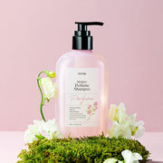 ProtoClinical k-beauty [Daeng Gi Meo Ri] Mellow Perfume Shampoo 380ml in a beauty close-up on a pale pink background with a soft green accent
