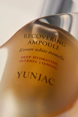 ProtoClinical k-beauty warm amber beauty product packaging on a soft gray background.