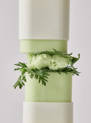 ProtoClinical k-beauty product photo.